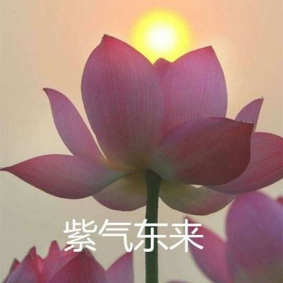 三国群英传霸王之业手游下载